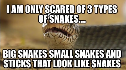 i-am-only-scared-of-3-types-of-snakes....-big-snakes-small-snakes-and-sticks-tha
