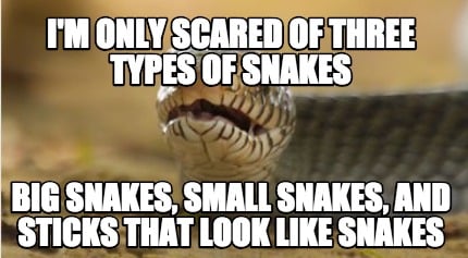 im-only-scared-of-three-types-of-snakes-big-snakes-small-snakes-and-sticks-that-